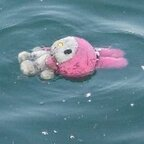 jimmyjohnswhore avatar