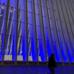 leftinthedark avatar