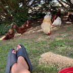 natalienate69 avatar
