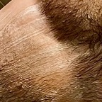 peritom69 profile picture