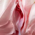 u132761187 profile picture