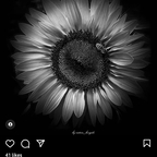 u157981571 avatar
