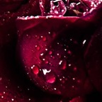 xxrosexx profile picture